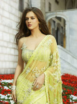 幻灯图集：印度美女妮哈-达尔维写真秀各色纱丽