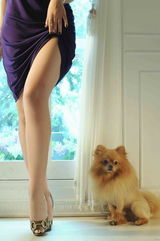 高清图：小范冰冰杨慧娇靓丽出镜 高薪代言豪华别墅