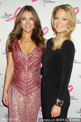 组图：伊丽莎白-赫莉低胸裙亮相乳癌基金会派对
