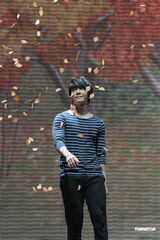 组图：Super Junior澳门开唱 空中大展高难度动作