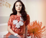 幻灯图集：宋慧乔服饰集锦100张 变身百变娇娃