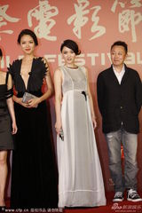 组图：上海电影节红毯 陈乔恩透视裙显美艳