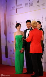 组图：群星亮相金像奖红毯 舒淇Angelababy(杨颖)桂纶镁竞艳