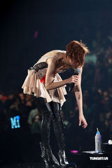 幻灯：郑秀文许志安相拥献唱 梁洛施李嘉欣捧场