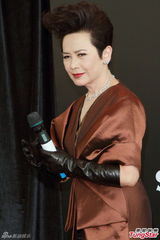 组图：叶德娴开唱不邀华仔 要观众守五戒条