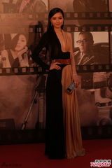 组图：文咏珊拼色长裙亮相红毯 中门大开秀性感