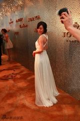 组图：张静初出席活动典雅长裙秀美背