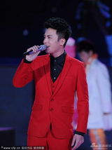 蛇年春晚杜淳曲婉婷《我的歌声里》[1\/8]组图: