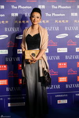 组图：群星亮相BAZAAR明星慈善夜红毯星光熠熠