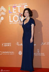 群星闪耀嫣然基金晚宴 王菲旗袍装与李亚鹏恩爱