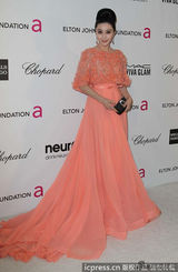 组图：范冰冰大尺度礼服亮相奥斯卡派对疑露点