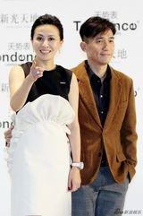 梁朝伟刘嘉玲秀恩爱破婚变传闻 贾静雯婀娜(图)