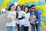 组图：林忆莲出席狗狗同乐日 陈嘉桓呼吁领养