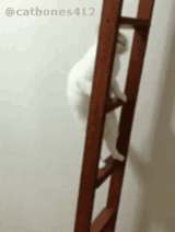 秒娱连珠：累不爱！男神女屌的日常