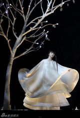 组图：杨丽萍《孔雀》亮相京城 高清剧照