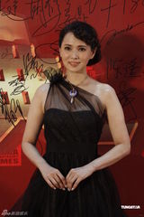 组图：孙悦现身慈善盛典被错认 窦骁刘烨同席零交流