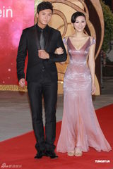 组图：2012港姐竞选红毯 黄智雯萧正楠王浩信等亮相