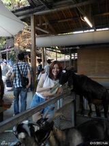 组图：徐怀钰度假兴奋合影草泥马 36岁仍似少女