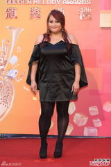 群星亮相金曲奖红毯 蔡依林美腿梁静茹性感(图)