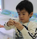 组图：张柏芝带lucas出游 母子二人学做巧克力