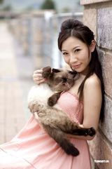 幻灯图：靓模钟蕙芝出写真 不为赚钱为保护小动物 