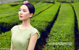 组图：刘诗诗时尚大片清新百变多面风情