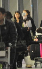 组图：林志玲蒙面回京会友 大秀美腿卖风情