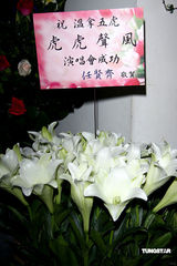 幻灯图：温拿五虎开唱 伍佰五月天助阵High翻天