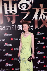 高清图：2011网络盛典红地毯明星名流嘉宾云集