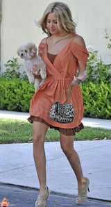 高清图：阿什丽-提斯代尔露肩裙抱可爱狗狗上街 