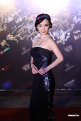 组图：华谊之夜上海举行 李冰冰安以轩等女星争艳