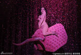 蒂塔万提斯脱衣舞巡演 酒杯出浴双峰高耸