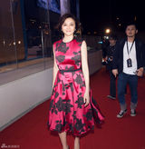 组图：关之琳红裙亮相气质优雅 获经典人物奖