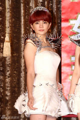 幻灯图：SHE下半年各自单飞 Selina想演小燕子