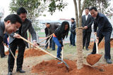 森林绿化大使韦唯出席联合国会议 桂林播种爱心