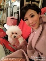 策划组图：《名媛望族》杨怡各色大衣打造暖冬