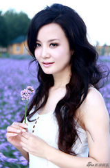 组图：陶红娇媚写真曝光 紫花海中演绎白裙浪漫