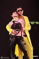 组图：刘德华“体力派”演唱会 与黎明携手同台