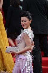 组图：《画皮2》陈廷嘉亮相戛纳 凤凰礼服璀璨夺目