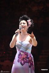 组图：汪明荃助阵关菊英演唱会 黄日华陈豪献唱