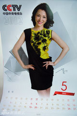 组图：央视2012挂历出炉 康辉变一哥毕福剑首上榜