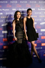 组图：群星亮相BAZAAR明星慈善夜红毯星光熠熠
