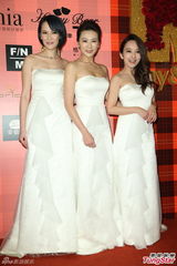 组图：黄小柔出嫁盼造人 穿低胸婚纱挽老公亮相