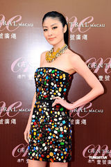 高清：陈慧琳露肩五彩裙惊艳亮相 介绍儿子近况