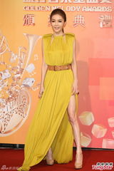 组图：谢金燕亮相红毯 自撩裙摆秀美腿