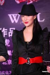 高清组图：《囧探佳人》曝终极海报 启动新浪官网