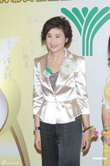 组图：香港青年联会庆典举行 吴小莉霍启刚捧场