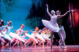 组图：俄皇家“天鹅”京城起舞 精彩演绎芭蕾代表作