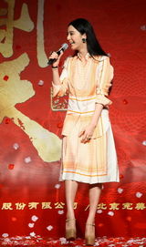 组图：范冰冰亮相电视剧《武则天》发布会