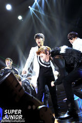 高清图：SJ-M台北会粉丝 热情狂High亲密暧昧